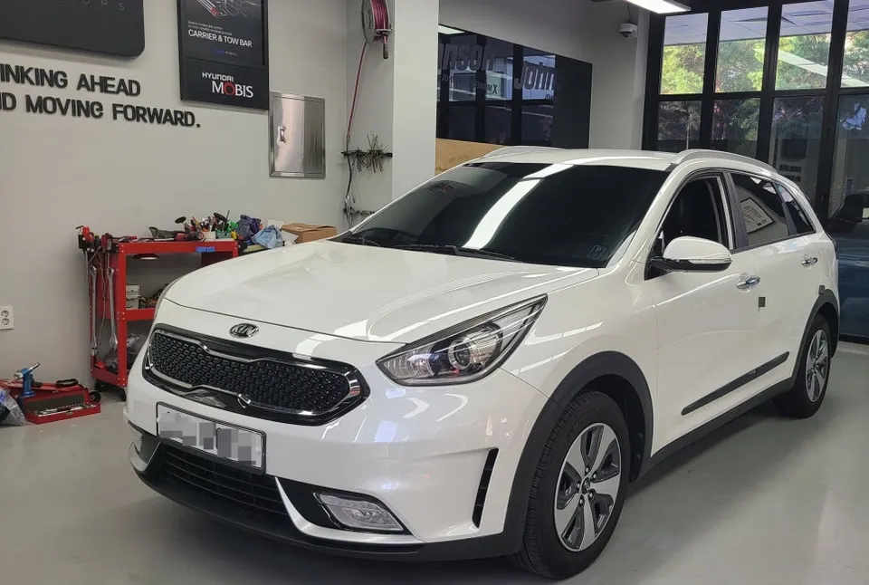 Kia Niro oem options review