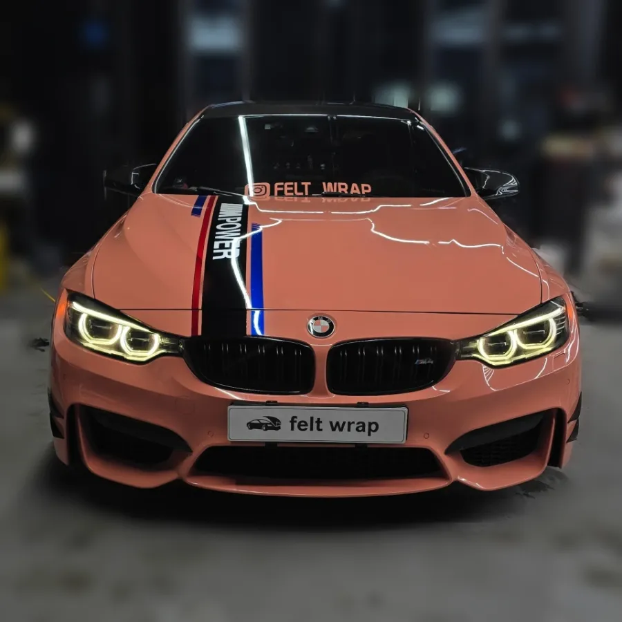 BMW M4 F82 Remote Start Review - Winter Essential Upgrade