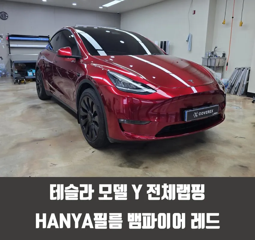 Tesla Model Y vinyl wrap installation result
