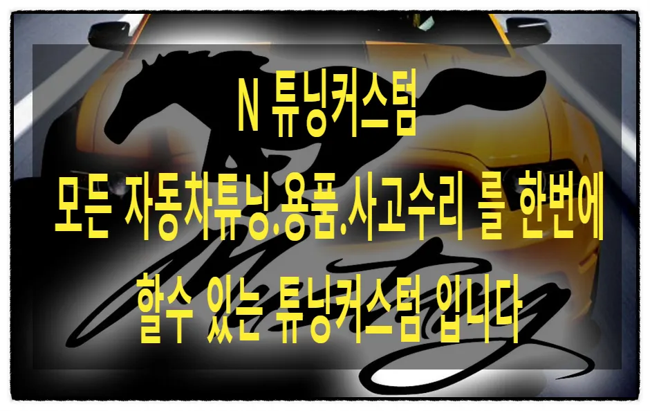 Ford Mustang new car package installation result