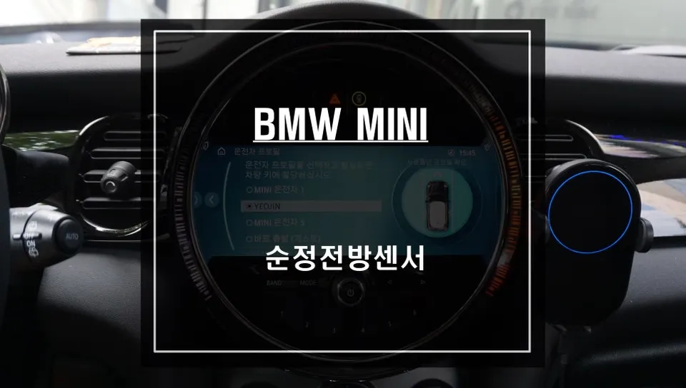 BMW MINI oem options installation result