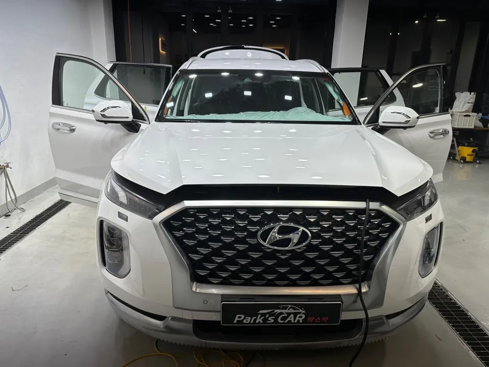 Hyundai Palisade window tinting - Hyundai Palisade Window Tinting Review: Anigard AP80R Re-applicat photo 7