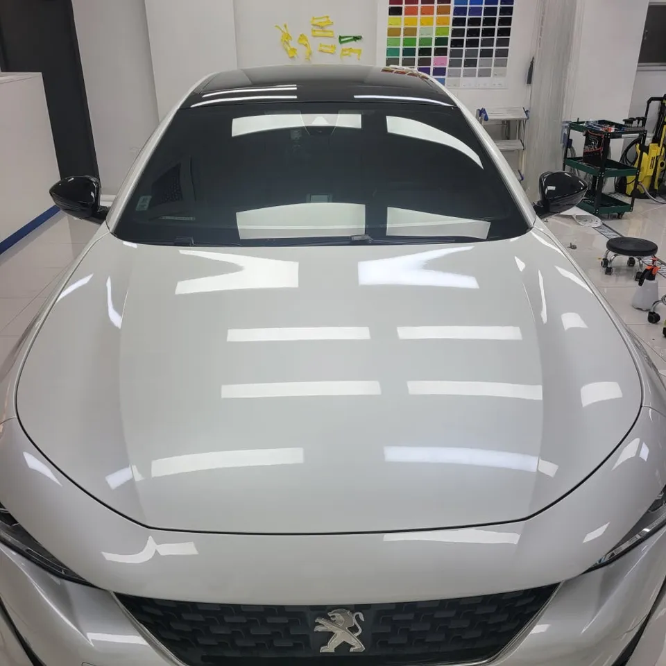 Peugeot 508のカーラッピング事例 施工写真 4-2