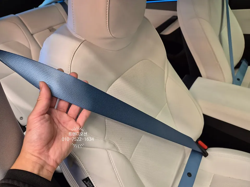 Tesla Model Y interior customization - Tesla Model Y Interior Customization Review — Color Accents photo 3
