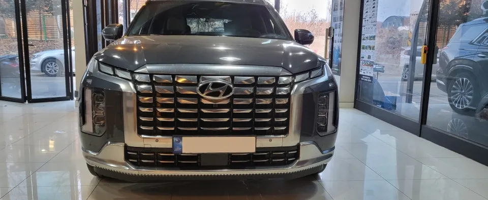 Kia Palisade lighting upgrade installation result