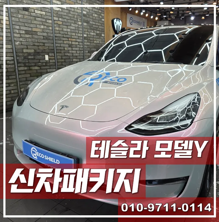 Tesla Model YのPPF施工事例|費用目安と仕上がり 施工写真 1-1