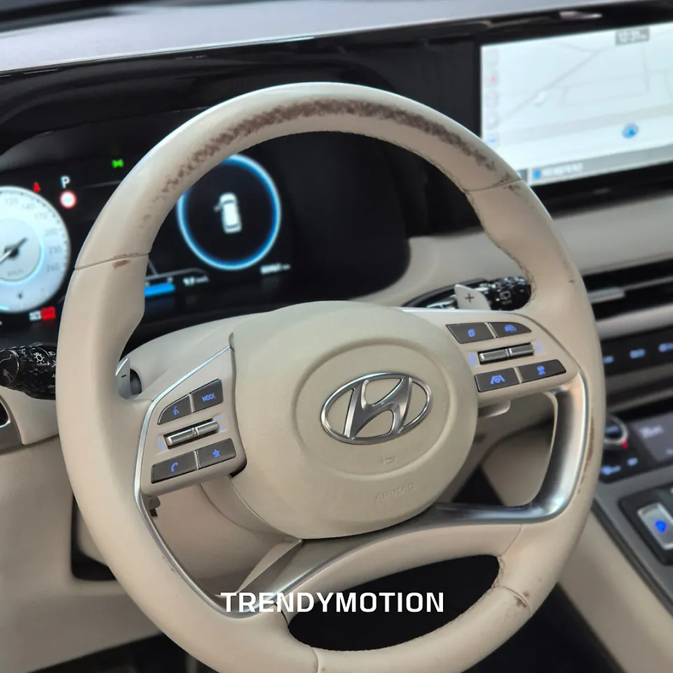 Hyundai Palisade steering wheel - Hyundai Palisade Steering Wheel Customization Review photo 3