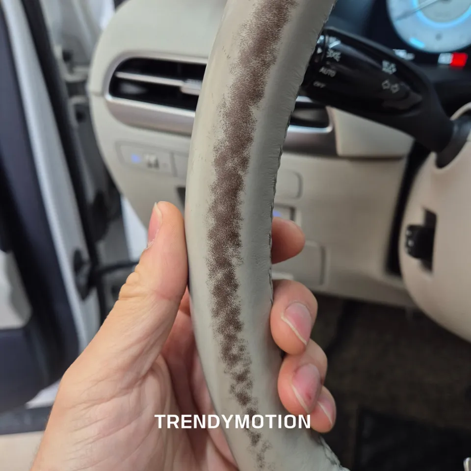 Hyundai Palisade steering wheel - Hyundai Palisade Steering Wheel Customization Review photo 4