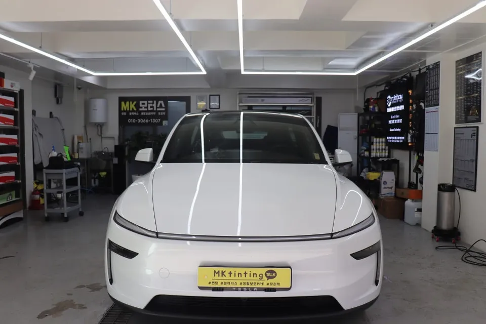 Tesla Model 3 interior customization review
