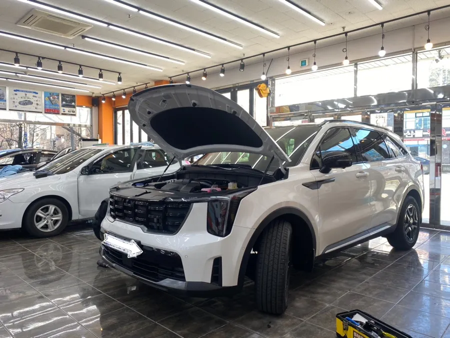Kia Sorento ppf - Kia Sorento PPF Review: Rock Chip Protection Cost photo 4