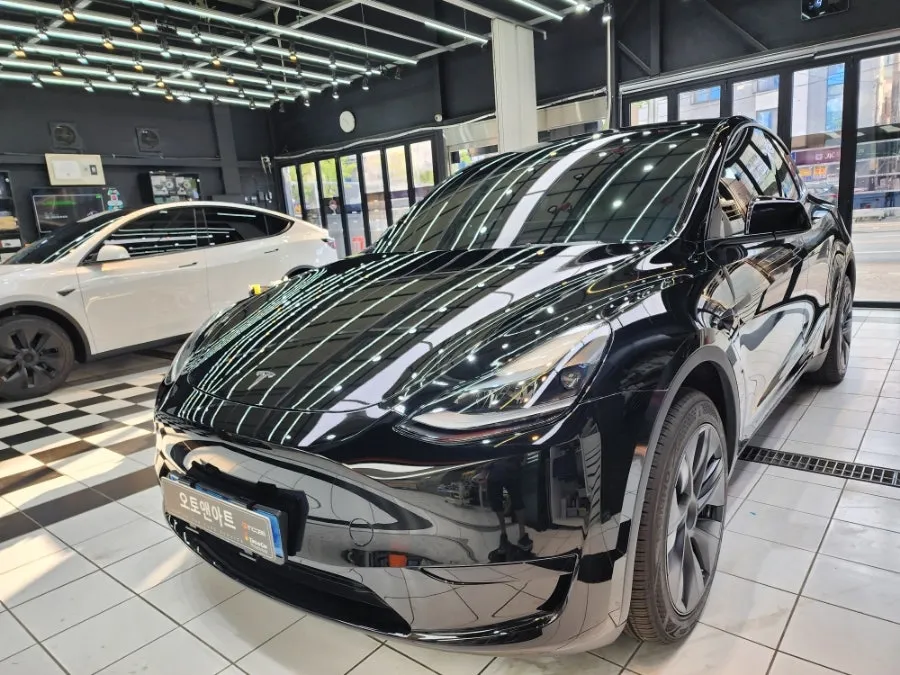 Tesla Model Yのカーフィルム施工事例|費用目安・仕上がり 施工写真 3-1