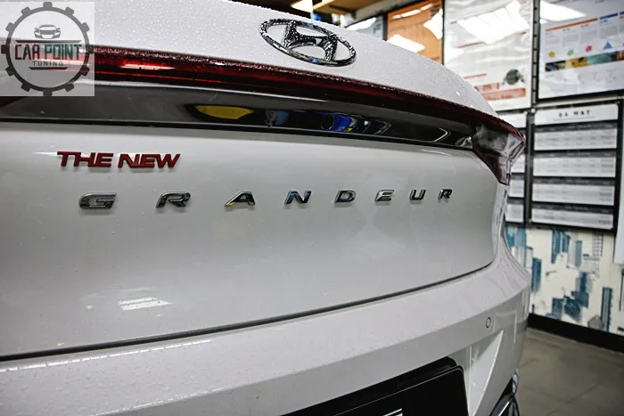 Hyundai The New Grandeur surround view camera - Hyundai The New Grandeur 360 Camera Review: Cost & Results photo 4