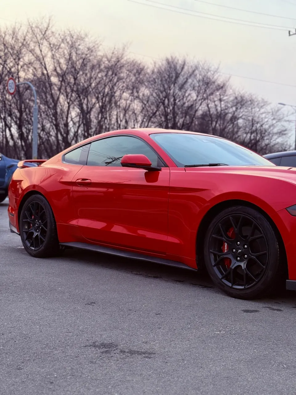 Ford Mustangのカーラッピング事例|費用目安・仕上がり 施工写真 3-2