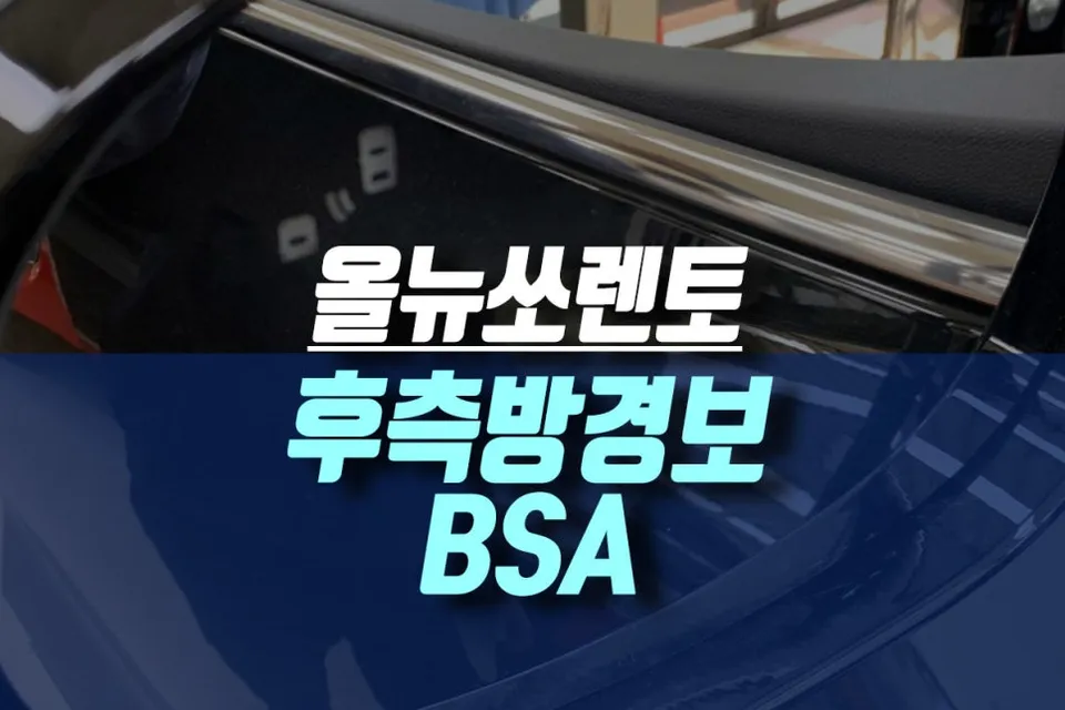 Kia Sorento oem options installation result