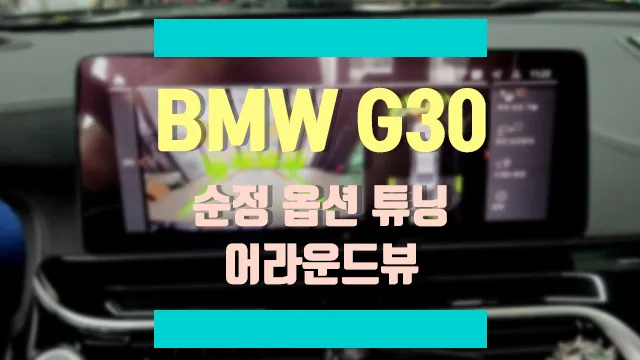 BMW G30 5 Series Surround View Camera Installation