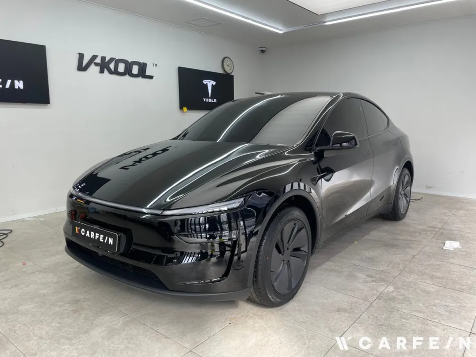 Tesla Tesla New Car Protection Package Review After