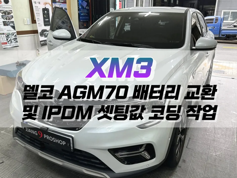 Renault Korea XM3 ppf installation result