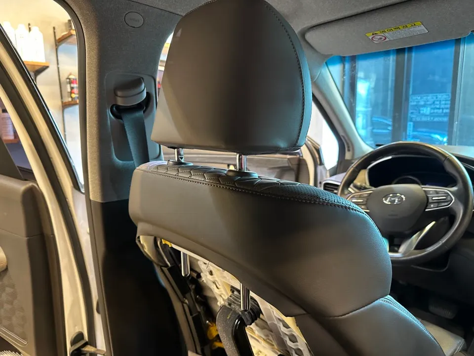 Hyundai Santa Fe oem options - Hyundai Santa Fe OEM Options Review - Enhanced Rear Seat Entertai photo 3