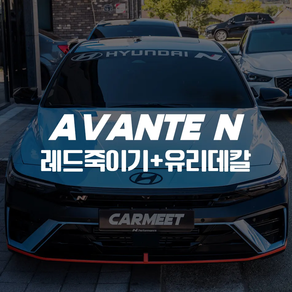 Hyundai Elantra Nのカーラッピング事例｜費用目安・仕上がり 写真