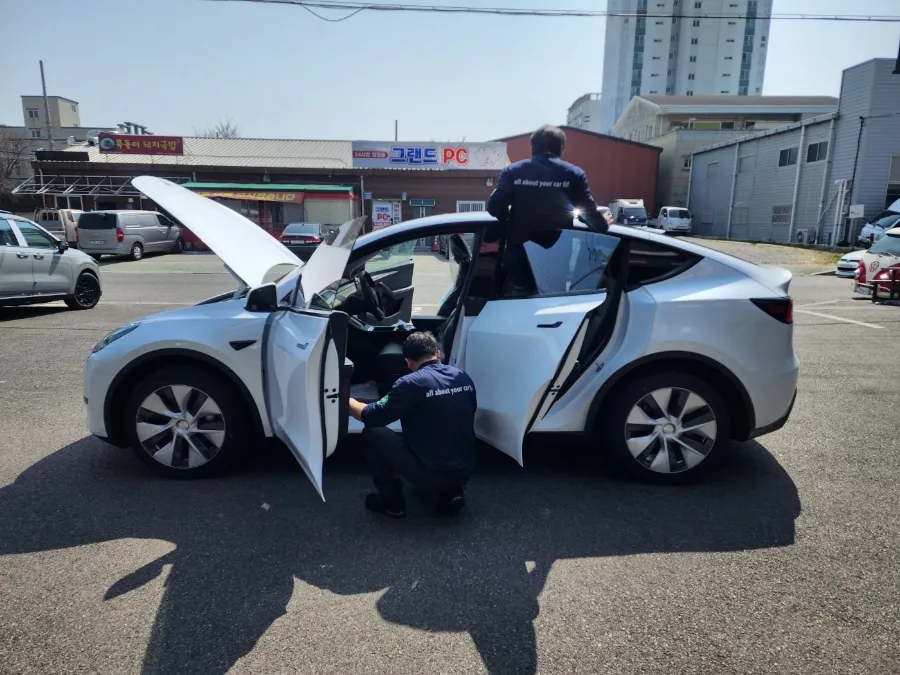 Tesla Model Y new car package - Tesla Model Y New Car Package Review: Protection & Tint photo 3