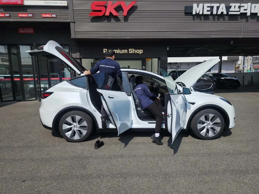 Tesla Model Y new car package - Tesla Model Y New Car Package Review: Protection & Tint photo 4