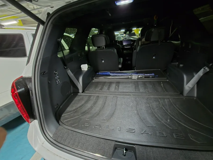 Hyundai Palisade ambient lighting - Hyundai Palisade Ambient Lighting Review: Cost & Results photo 3