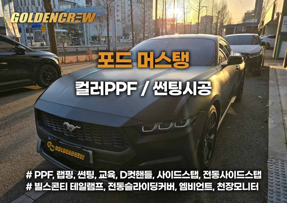 Ford Mustang ppf installation result