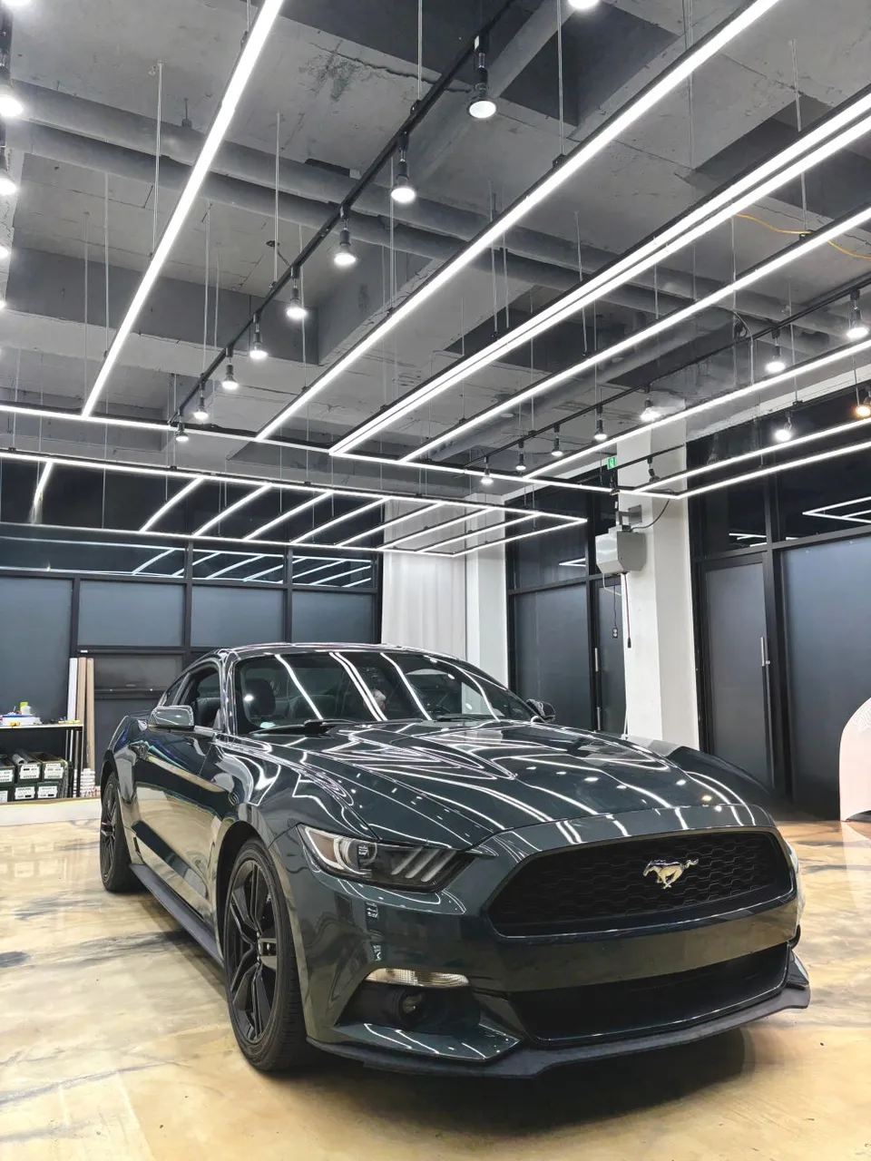 Ford Mustangのカーラッピング事例｜費用目安・仕上がり 施工写真 2-1