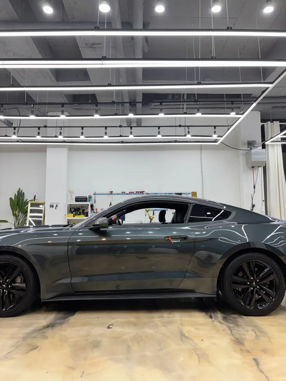 Ford Mustangのカーラッピング事例｜費用目安・仕上がり 施工写真 1-3