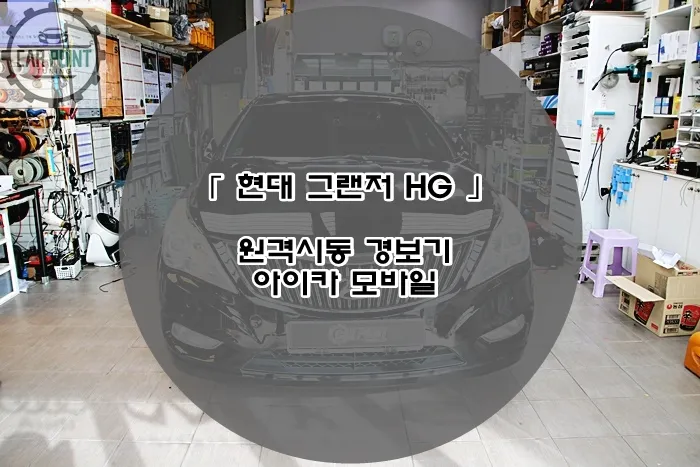 Hyundai Grandeur HG oem options installation result