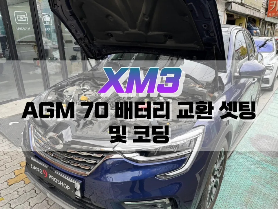 Renault Korea XM3 ppf installation result