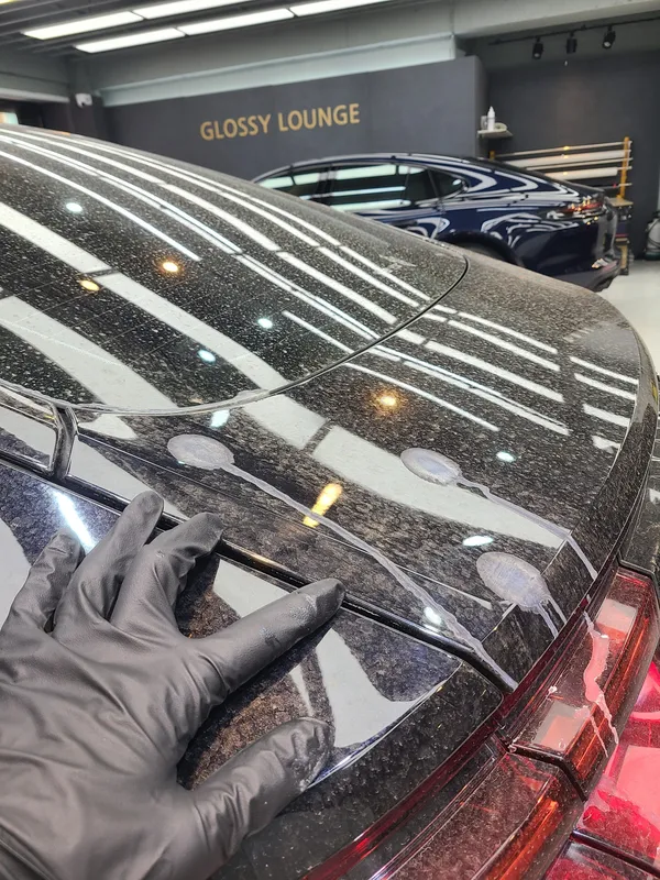 Porsche Panamera ceramic coating installation result