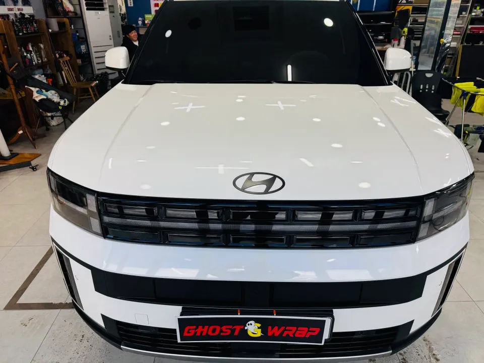 Hyundai Santa Fe surround view camera - Hyundai Santa Fe 360 Camera Review: Black Point Upgrade photo 3