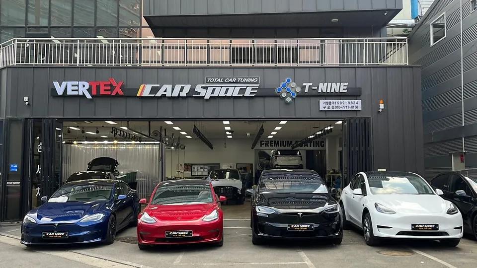 Tesla null other - Tesla Car Service Review: Expert Data & Experience photo 3