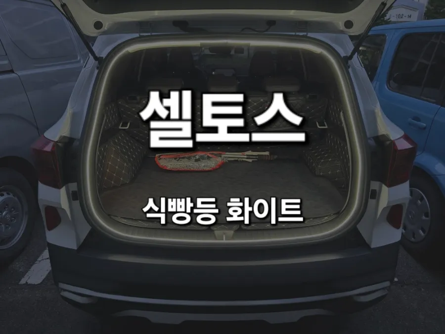 Kia Seltos ambient lighting installation result