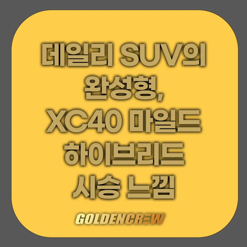 Volvo XC40 car accessories installation result