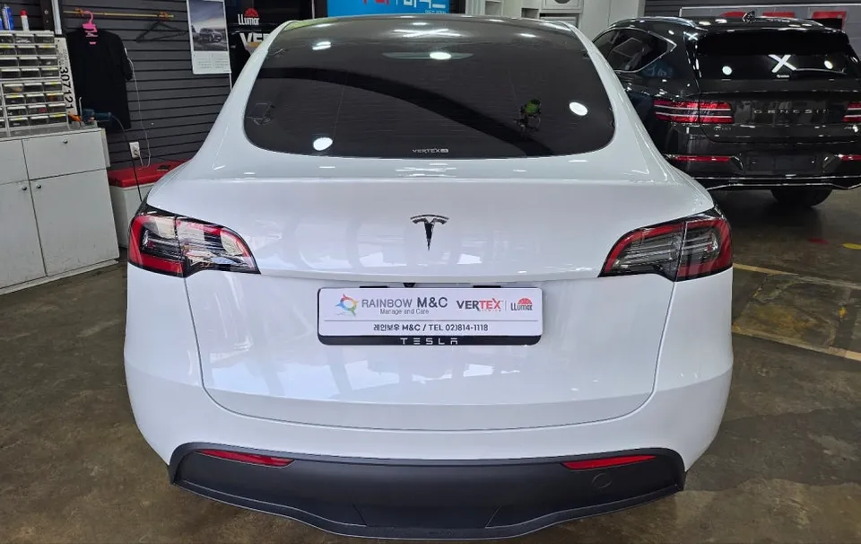 Tesla Model Y PPF Review: Cost & Rock Chip Protection After