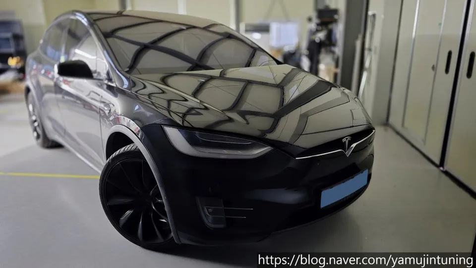 Tesla Model X ambient lighting installation result