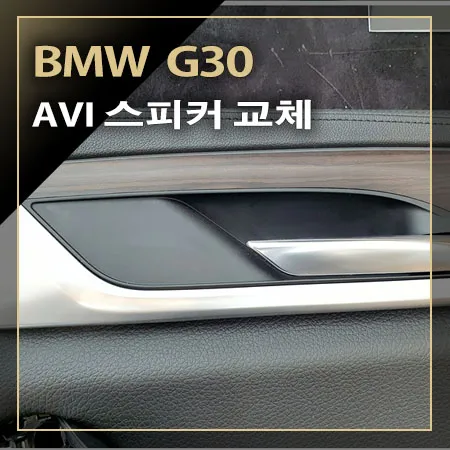 BMW 5 Series G30 car audio installation result