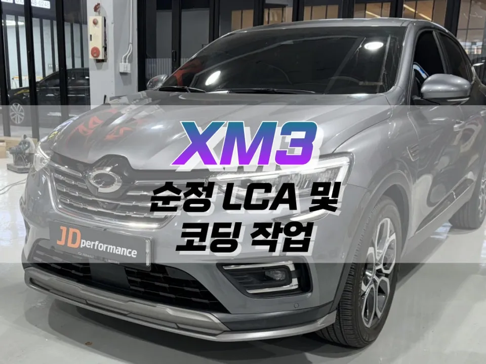 Renault XM3 OEM Options & Factory Upgrades Review — Enhanced Feat