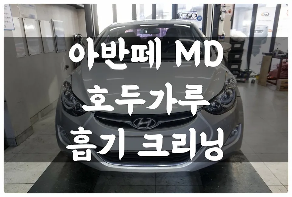 Hyundai Elantra MD ppf review