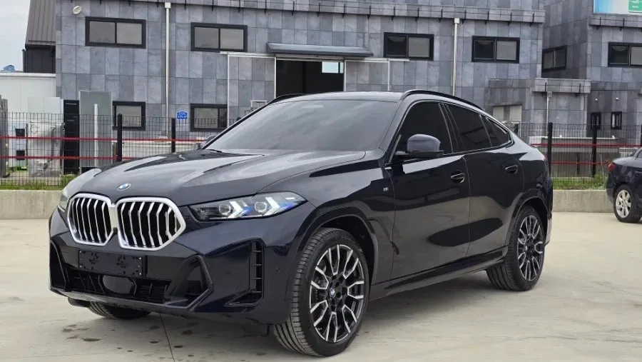 BMW X6 カーフィルム施工事例｜断熱・スモーク 施工写真 1-3