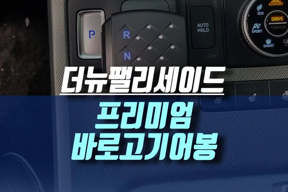 Hyundai Palisade Steering Wheel Customization Review photo 1