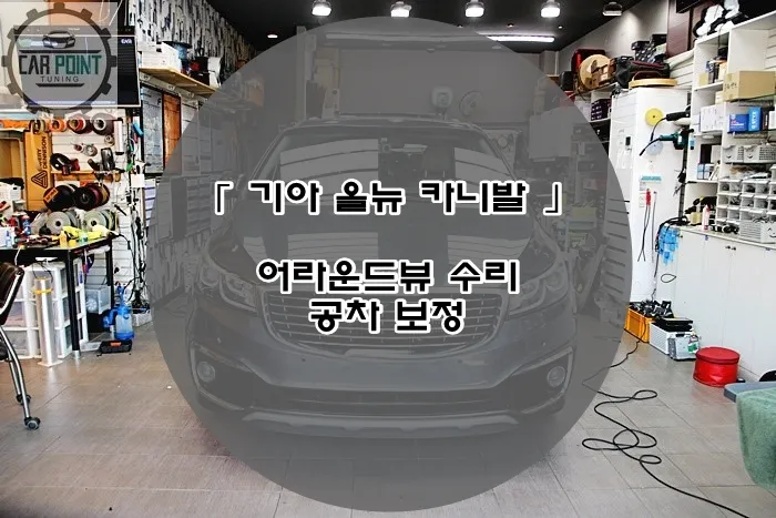 Kia Carnival surround view camera review