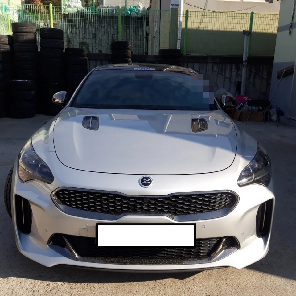 Kia Stinger tires review