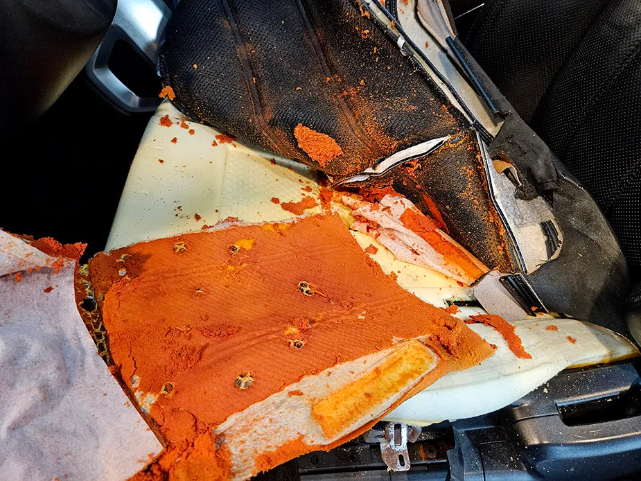 Land Rover Range Rover interior customization - Land Rover Range Rover Interior Restoration Review — Like New photo 4