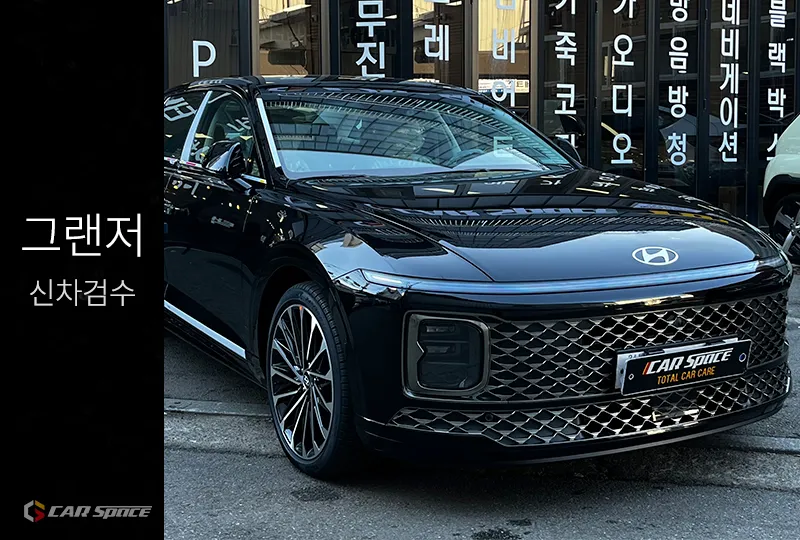 Hyundai Grandeur GN7 PPF Review — Enhanced Protection