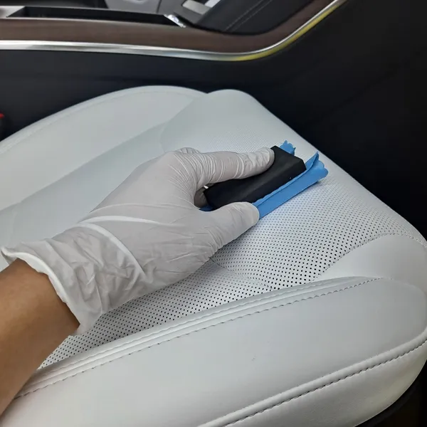 Tesla Tesla Seat Climate Upgrade Review — Cost & Results