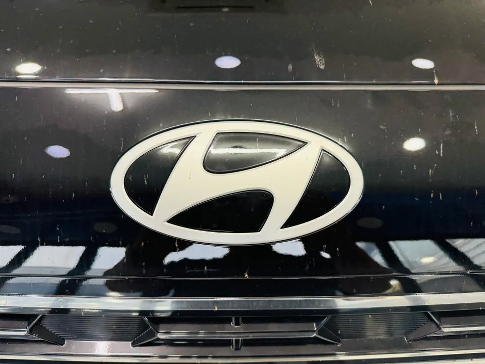 Hyundai Palisade ghost door - Hyundai Palisade Ghost Door Review — Before & After photo 5