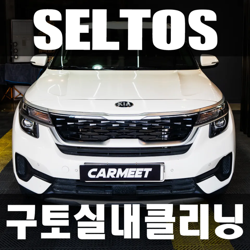 Kia Seltos paint correction installation result